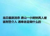 當(dāng)日最新消息 唐山一小樹(shù)林兩人被害刑警介入 遇難者是做什么的