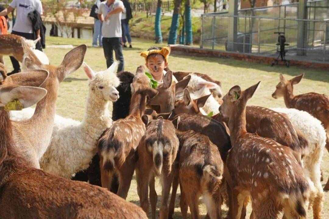 12月，南京這六個景點免費開放啦