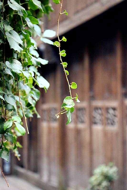 古風(fēng)‖《李白詩(shī)詞》十首（十一）