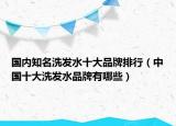 國內(nèi)知名洗發(fā)水十大品牌排行（中國十大洗發(fā)水品牌有哪些）