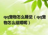 qq寵物怎么睡覺（qq寵物怎么結(jié)婚呢）