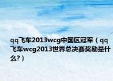 qq飛車2013wcg中國(guó)區(qū)冠軍（qq飛車wcg2013世界總決賽獎(jiǎng)勵(lì)是什么?）