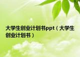 大學(xué)生創(chuàng)業(yè)計(jì)劃書ppt（大學(xué)生創(chuàng)業(yè)計(jì)劃書）