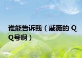 誰(shuí)能告訴我（戚薇的 QQ號(hào)啊）