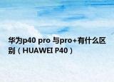 華為p40 pro 與pro+有什么區(qū)別（HUAWEI P40）