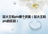 鼠大王和pis哪個厲害（鼠大王和pis的區(qū)別）