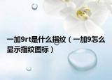 一加9rt是什么指紋（一加9怎么顯示指紋圖標(biāo)）