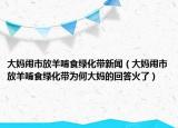 大媽鬧市放羊啃食綠化帶新聞（大媽鬧市放羊啃食綠化帶為何大媽的回答火了）