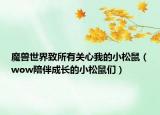 魔獸世界致所有關(guān)心我的小松鼠（wow陪伴成長(zhǎng)的小松鼠們）
