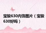 寶駿630內(nèi)飾圖片（寶駿630好嗎）