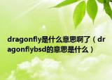 dragonfly是什么意思啊了（dragonflybsd的意思是什么）