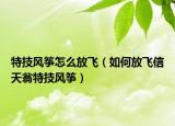 特技風(fēng)箏怎么放飛（如何放飛信天翁特技風(fēng)箏）