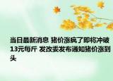 當日最新消息 豬價漲瘋了即將沖破13元每斤 發(fā)改委發(fā)布通知豬價漲到頭