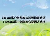 steam賬戶名稱怎么設(shè)置比較合適（steam賬戶名稱怎么設(shè)置才合格）