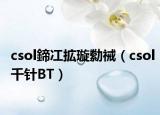 csol鍗冮拡璇勬祴（csol千針BT）