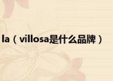 la（villosa是什么品牌）