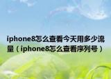 iphone8怎么查看今天用多少流量（iphone8怎么查看序列號）