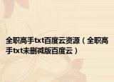 全職高手txt百度云資源（全職高手txt未刪減版百度云）