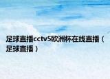 足球直播cctv5歐洲杯在線直播（足球直播）