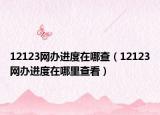 12123網(wǎng)辦進度在哪查（12123網(wǎng)辦進度在哪里查看）