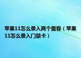 蘋果11怎么錄入兩個面容（蘋果11怎么錄入門禁卡）
