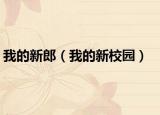 我的新郎（我的新校園）