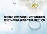 模擬城市4插件怎么用（為什么我用的模擬城市4建筑類的插件在夜晚沒有燈光呢）