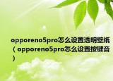 opporeno5pro怎么設(shè)置透明壁紙（opporeno5pro怎么設(shè)置按鍵音）