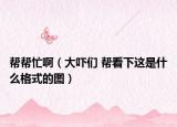 幫幫忙?。ù髧槀?幫看下這是什么格式的圖）