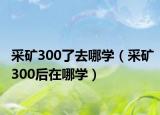 采礦300了去哪學(xué)（采礦300后在哪學(xué)）