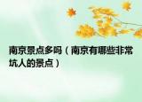 南京景點多嗎（南京有哪些非常坑人的景點）