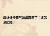 武林外傳罡氣裝備沒(méi)用了（該怎么扔掉）