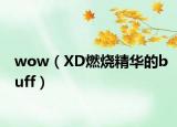 wow（XD燃燒精華的buff）