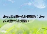 vivoy53s是什么處理器的（vivoy53s是什么處理器）
