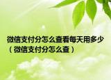 微信支付分怎么查看每天用多少（微信支付分怎么查）