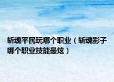 斬魂平民玩哪個(gè)職業(yè)（斬魂影子哪個(gè)職業(yè)技能最炫）
