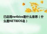 已啟用netbios是什么意思（什么是NETBIOS名）