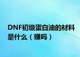 DNF初級蛋白油的材料是什么（賺嗎）