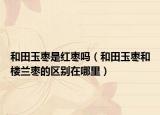 和田玉棗是紅棗嗎（和田玉棗和樓蘭棗的區(qū)別在哪里）