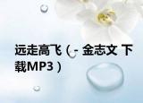 遠(yuǎn)走高飛（- 金志文 下載MP3）