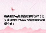 街頭籃球sg暗黑西格蒙怎么樣（街頭籃球想練個(gè)SG安萬(wàn)特西格蒙赤焰哪個(gè)好）