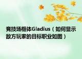 競技場框體Gladius（如何顯示敵方玩家的目標職業(yè)如圖）