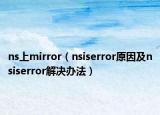 ns上mirror（nsiserror原因及nsiserror解決辦法）