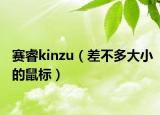 賽睿kinzu（差不多大小的鼠標(biāo)）