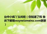 臺(tái)中小瘋丫頭叫啥（你知道了嗎 告訴下郵箱waynelzmsina.com謝謝）