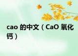 cao 的中文（CaO 氧化鈣）