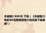 殺破狼2 RMVB 下載（《殺破狼2》電影BD完整版劇情介紹迅雷下載謝謝!）