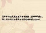 喜羊羊與灰太狼龍年沸羊羊媽媽（喜羊羊與灰太狼之開心闖龍年中沸羊羊的母親叫什么名字?）