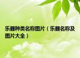 樂器種類名稱圖片（樂器名稱及圖片大全）
