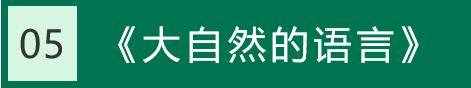 八下語文課本（生字詞注音+生字詞解釋）匯總，考試必考